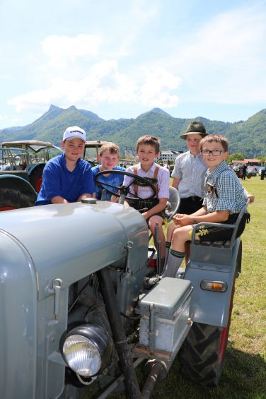 aschau bulldogtreffen reh01