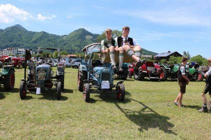 aschau bulldogtreffen reh02