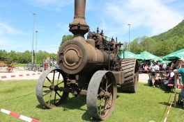 aschau bulldogtreffen reh04