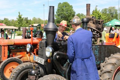 aschau bulldogtreffen reh07