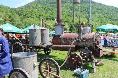 aschau bulldogtreffen reh08