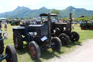 aschau bulldogtreffen reh10