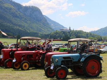 aschau bulldogtreffen reh12
