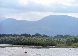 Achendelta-Erlebnisbootsfahrt