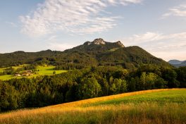 Lieblingsplatzl - Blick zum Heuberg 2
