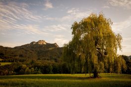 Lieblingsplatzl - Blick zum Heuberg