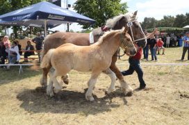 Sieger HF Runde Nr22 Helmut Friedhelm Eldor