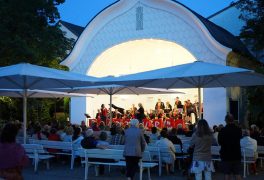 Sommerkonzert (37)
