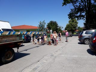 aschau firstbaum seta02