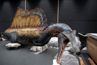 spinosaurus