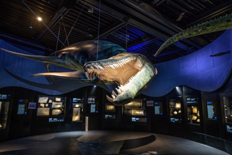 Jura mit Liopleurodon