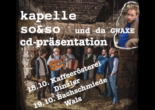 Plakat-SouSo-Dinzler-Wals