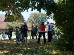 Radltour von Baum zu Baum II