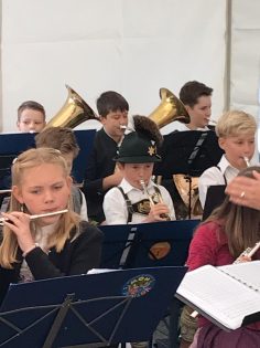 55615134-541b-46f7-82a2-896a3c91209e