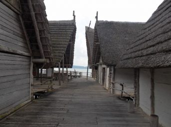 Pfahlbaumuseum UnteruhldingenPfahlbauten3