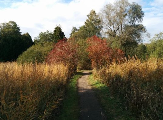 Goldener Oktober am Chiemsee