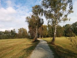 Goldener Oktober am Chiemsee