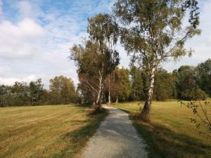 Goldener Oktober am Chiemsee
