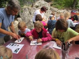 JUBI Bezirk KOEZ-CHA 2019-3 (1)