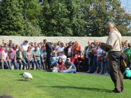 JUBI Bezirk KOEZ-CHA 2019-3 (3)