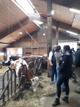 Lehrfahrt-Mod2_20190227_112050