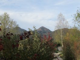 Reifingersee Rundweg2