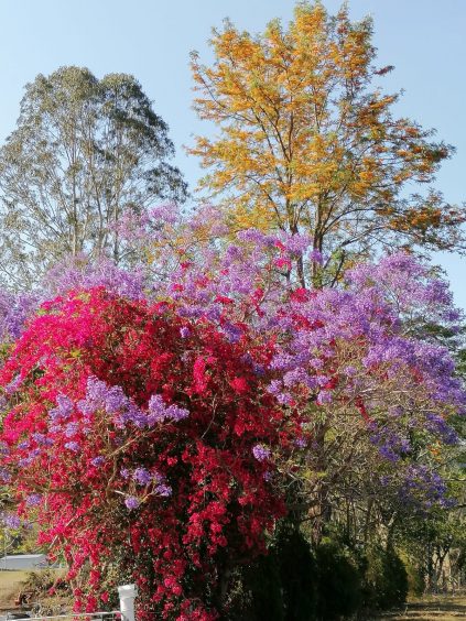 a619a5b4-a7eb-4306-a3fb-c28a530f30fd