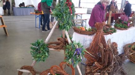 c5318aec-6cf7-4cbc-8ade-9e6e6cd0810a