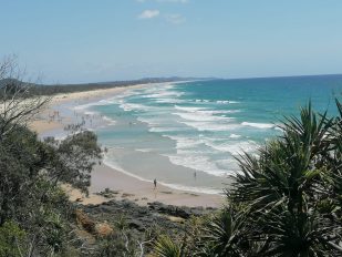 ce82ecae-ef8d-4d77-92a8-ef56c71632a0