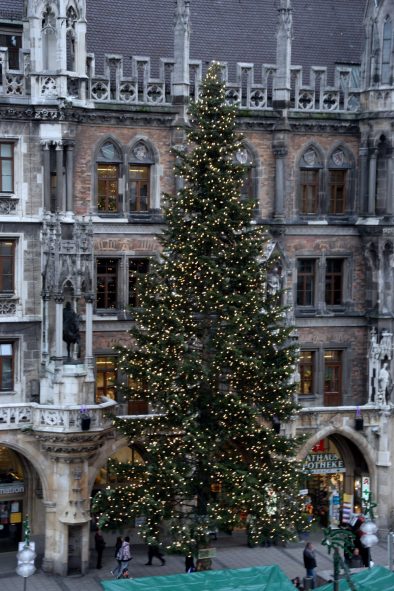 1-hoch-ChristbaumamRathaus