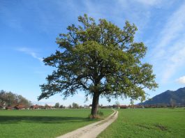 November im Achental