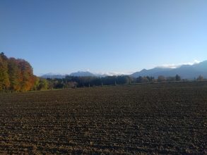 Indian Summer am Herrnberg