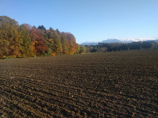 Indian Summer am Herrnberg