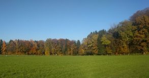 Indian Summer am Herrnberg