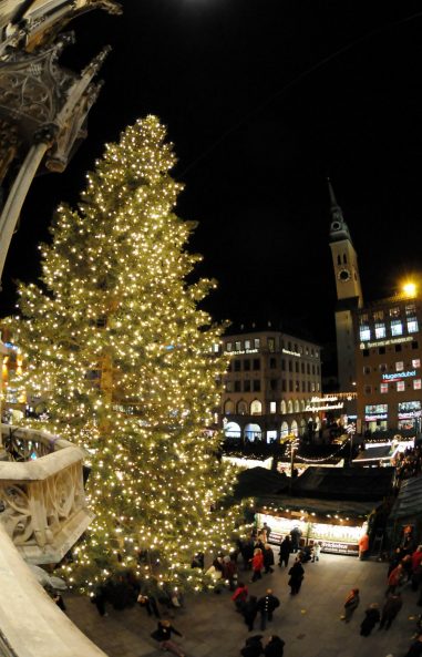 Samerbeberger Christbaum