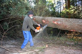 christbaum_samerberg_07