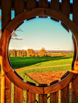 kl-IMG_20191104_075211~2