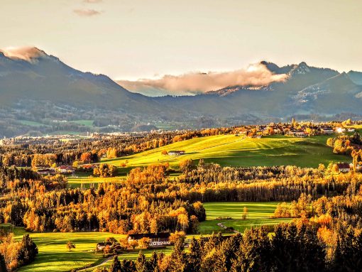 kl-IMG_20191104_075516~2