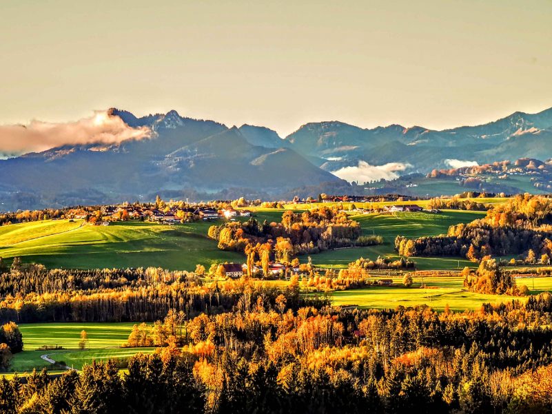 kl-IMG_20191104_075540~2