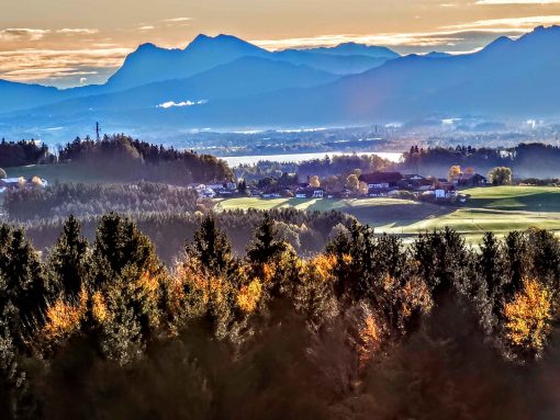 kl-IMG_20191104_080300~2