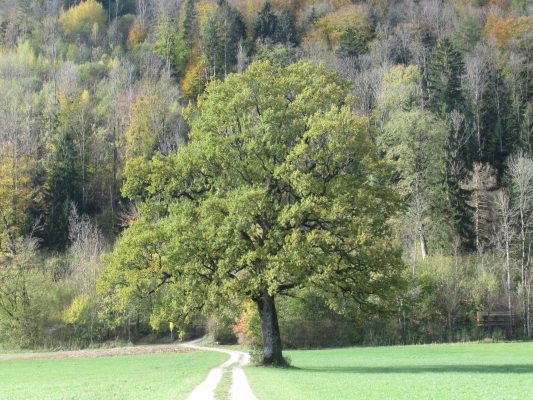 November im Achental