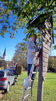 815b3a3a-b664-4e20-8cfb-648fce800e7d