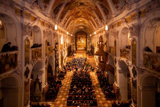 FreisingerDom-1008935