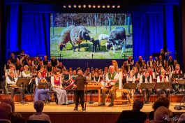 RosenheimerAdventsingen2019-1950400