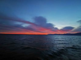 kl-IMG_20191201_071124