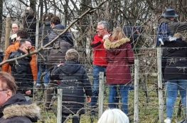 20200123_133559_mk_HelAmb