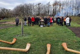 20200123_134212_mk_HelAmb