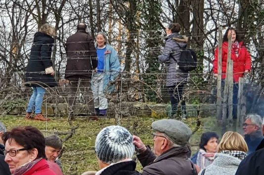 20200123_134227_mk_HelAmb