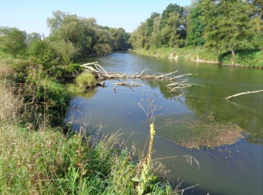 Amper unterhalb von Allershausen_PAN GmbH (004)