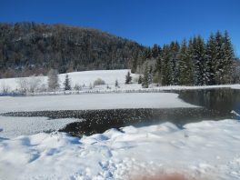 Langlaufen in Reit im Winkl
